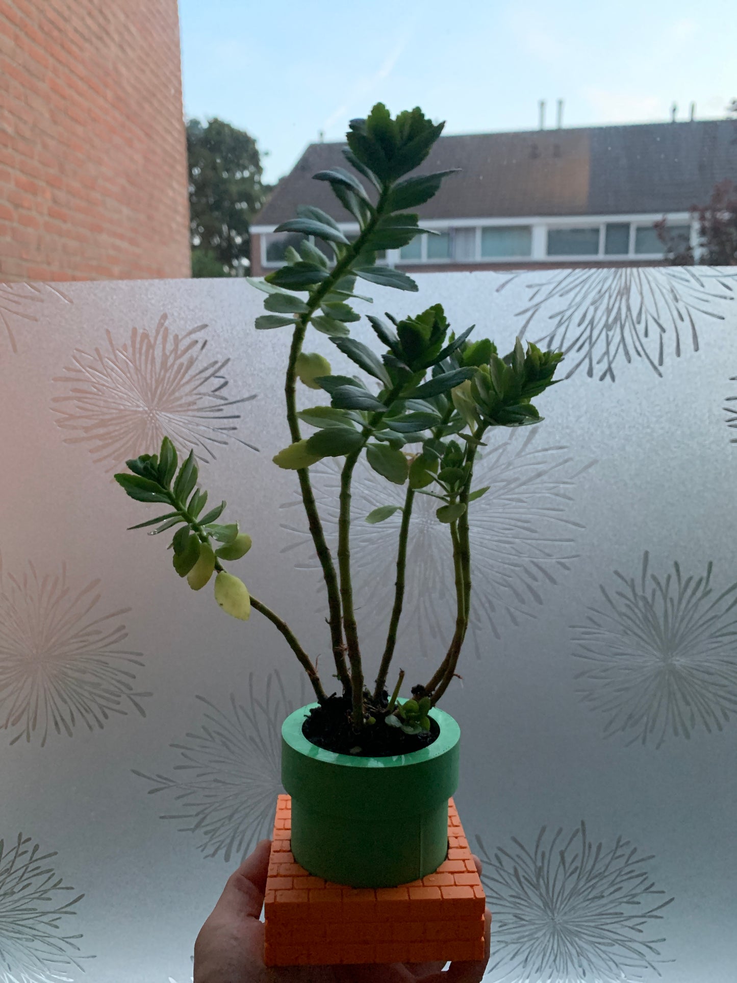 Pipe Planter